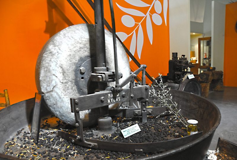 Musée de l’Olivier – Vignolis exhibition area à Nyons - 2