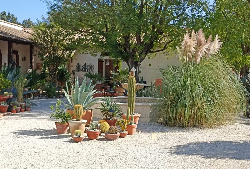 L’Hacienda Provençale à Grillon - 13