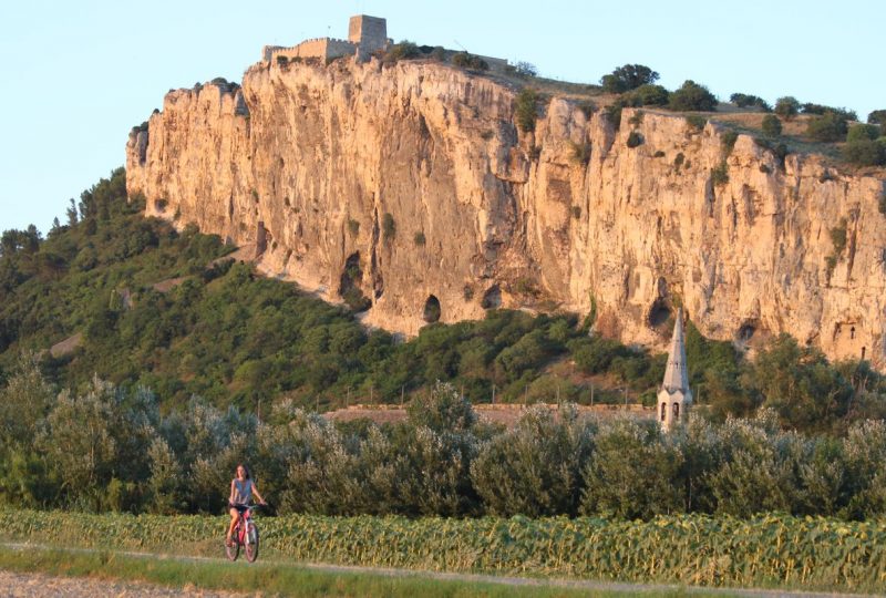 Touring the Côtes du Rhône by bike à Orange - 3
