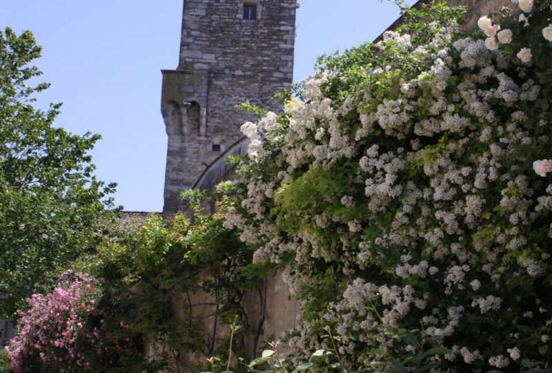 Parcours des roses avec “Grignan Pierres et Roses Anciennes” à Grignan - 4