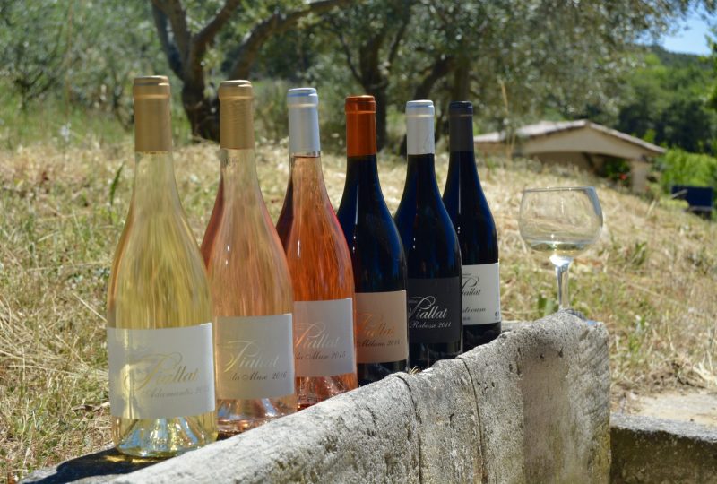 Domaine Piallat – Wine à Montbrison-sur-Lez - 0
