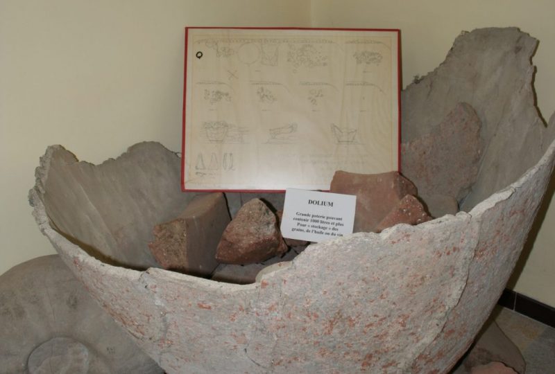 Musée de pays – Archéologie et Paléontologie à Valréas - 2