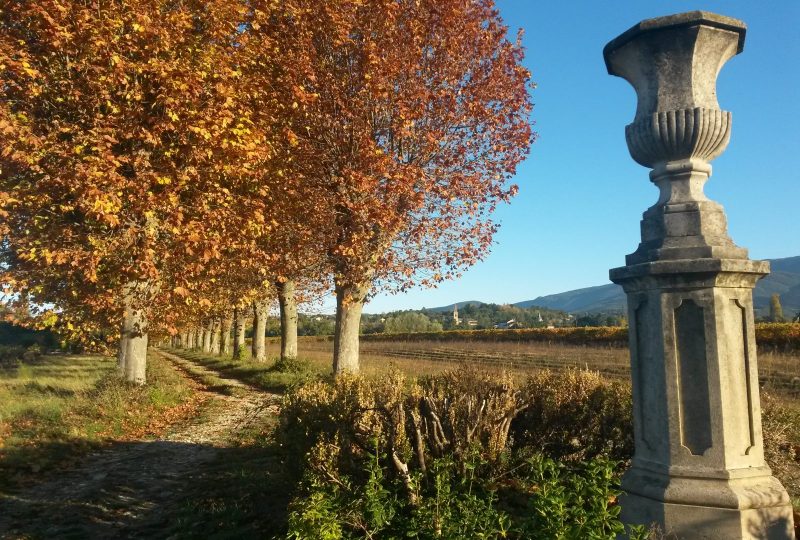 Château Urdy et parc à Saint-Pantaléon-les-Vignes - 4