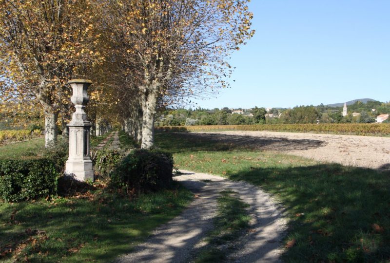 Château Urdy et parc à Saint-Pantaléon-les-Vignes - 11